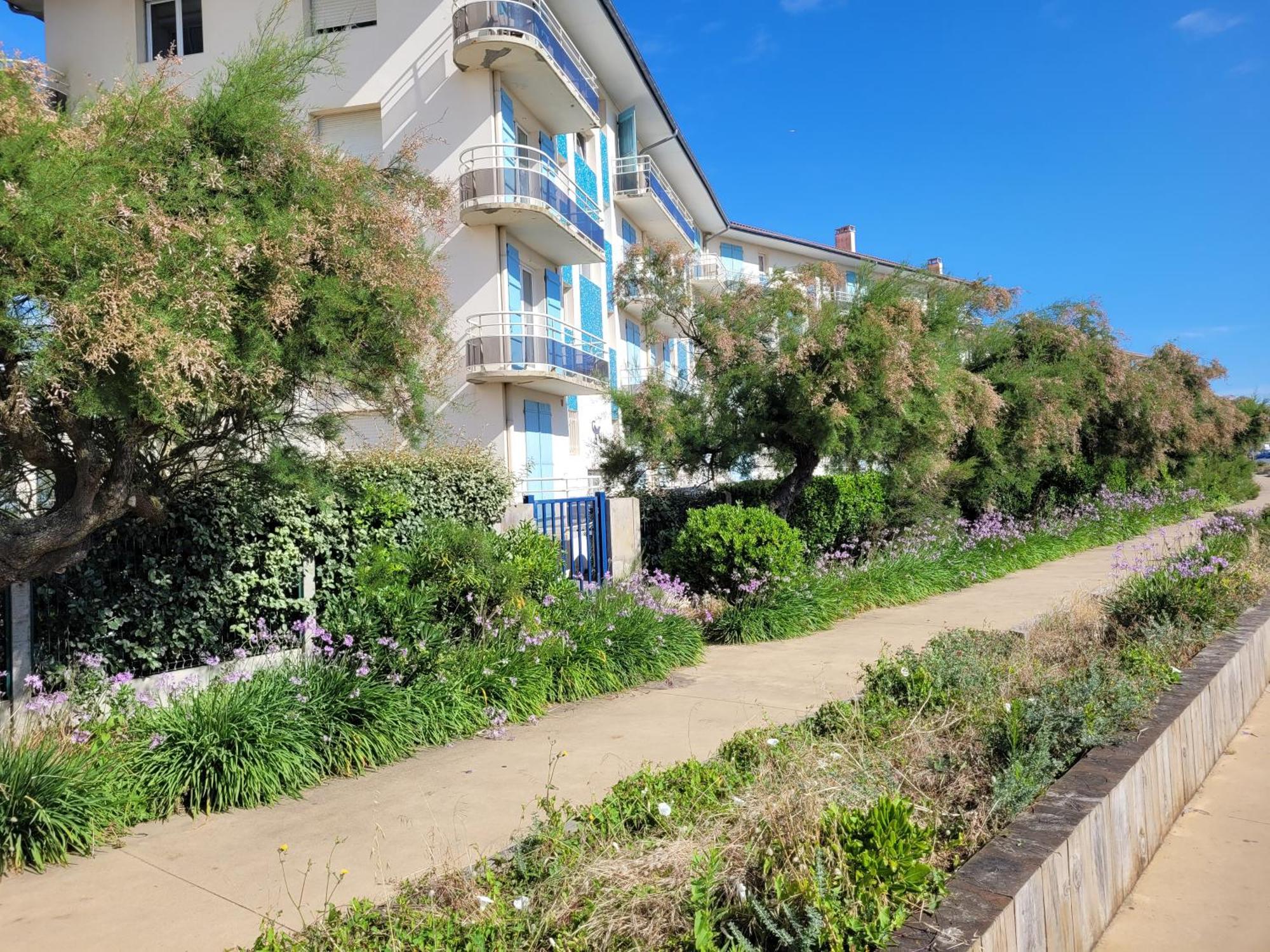 Sable - Appartement Renove Pour 4 Personnes Soorts-Hossegor Exterior foto